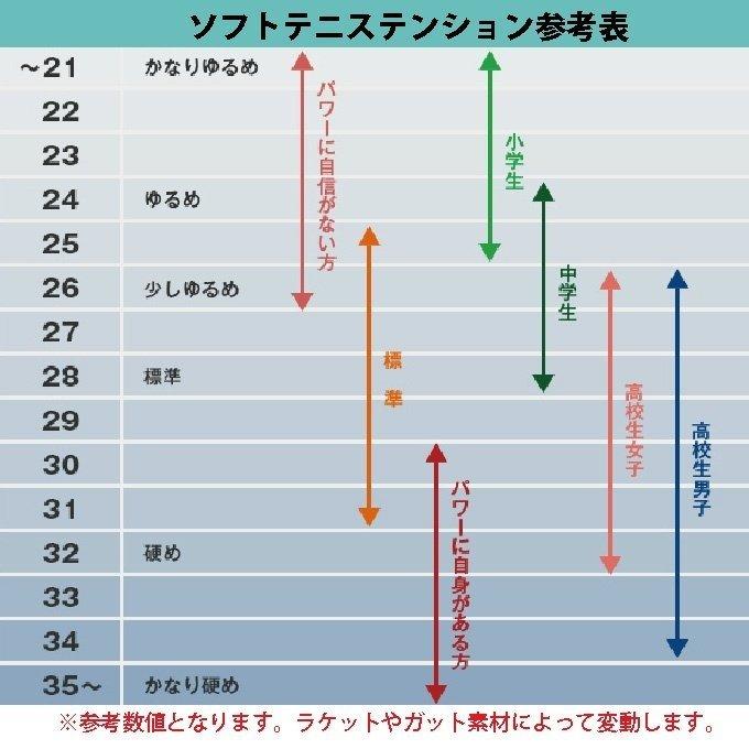MIZUNO ミズノ ソフトテニスラケット 後衛向け D FORCE Sー10 MIZUNO ミズノ ソフトテニスラケット 後衛向け D FORCE Sー10
