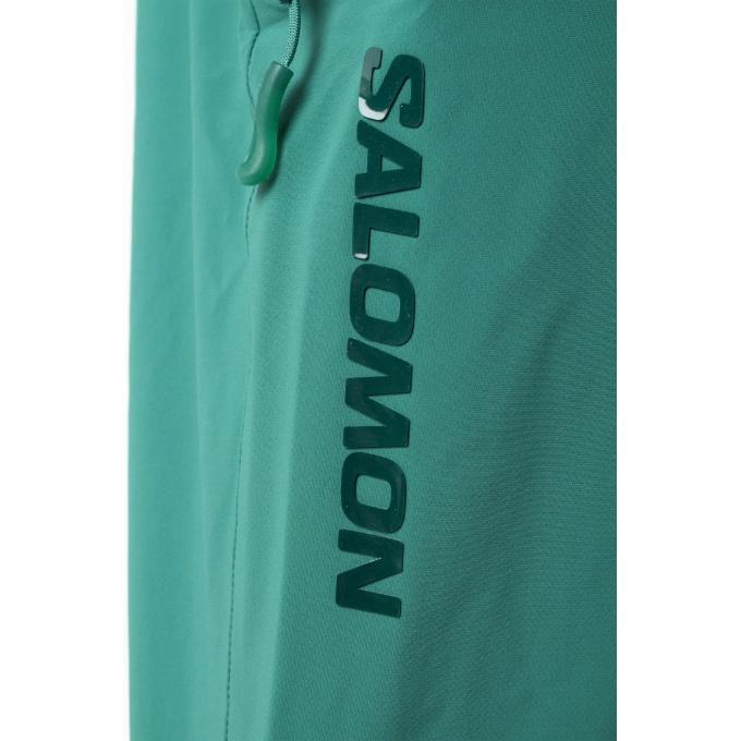 SALOMON サロモン スキーウェア パンツ メンズ BRILLIANT SALOMON サロモン スキーウェア パンツ メンズ BRILLIANT