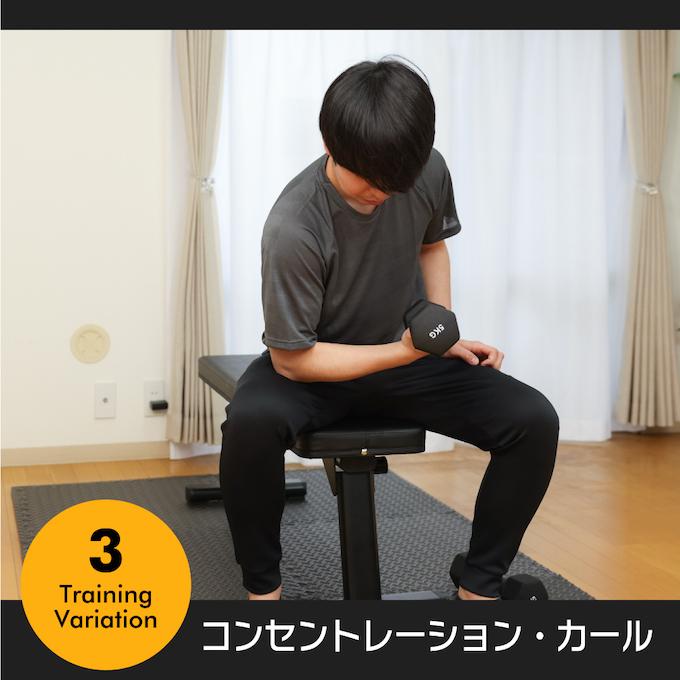 VISION QUEST（ビジョンクエスト） 折りたためる トレーニングベンチ