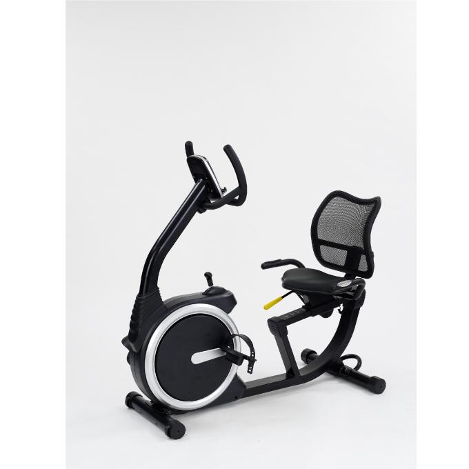 ALINCO（アルインコ） トレーニング器具 リカンベントバイク7020