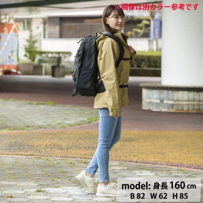 THE NORTH FACE - 新品未使用　thenorthface standard限定　ティンバーウルフ THE NORTH FACE（ザ ノースフェイス） リュックサック 30L メンズ