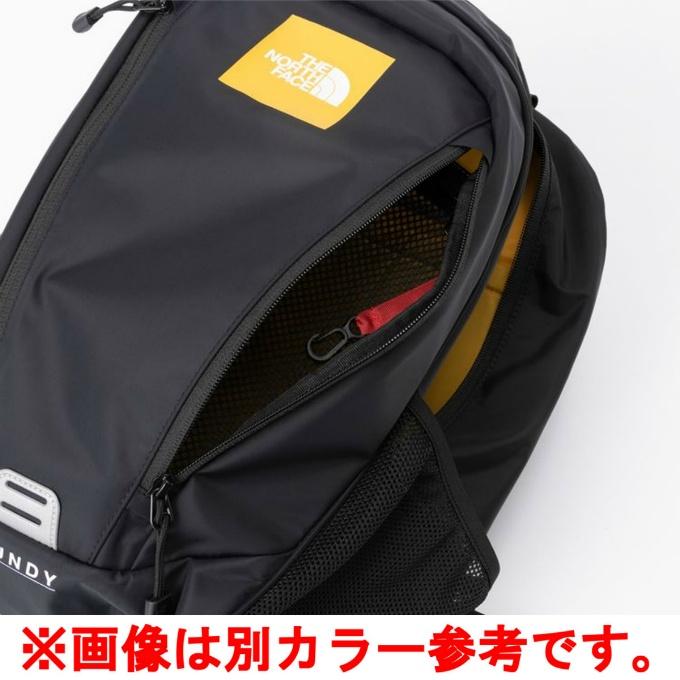 THE NORTH FACE ザ・ノース・フェイス リュックサック 22L