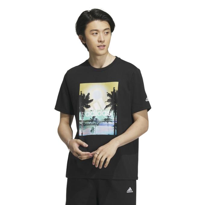 adidas（アディダス） Tシャツ 半袖 メンズ Palm Tree グラフィック