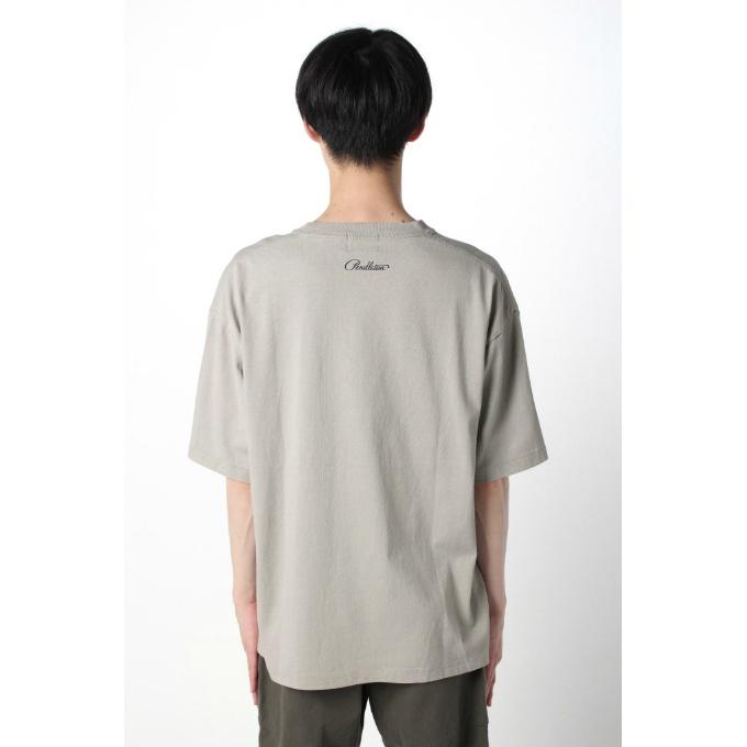 ペンドルトン PENDLETON Tシャツ 半袖 メンズ レディース フロントプリント SS T 3275-2007 Ice Gray｜himaraya｜03