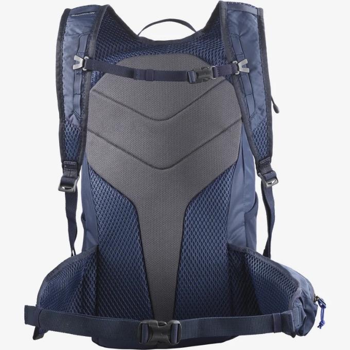 SALOMON（サロモン） バックパック メンズ レディース TRAILBLAZER 20