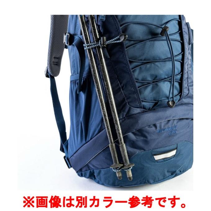 deuter（ドイター） バックパック メンズ レディース スパイダー 25
