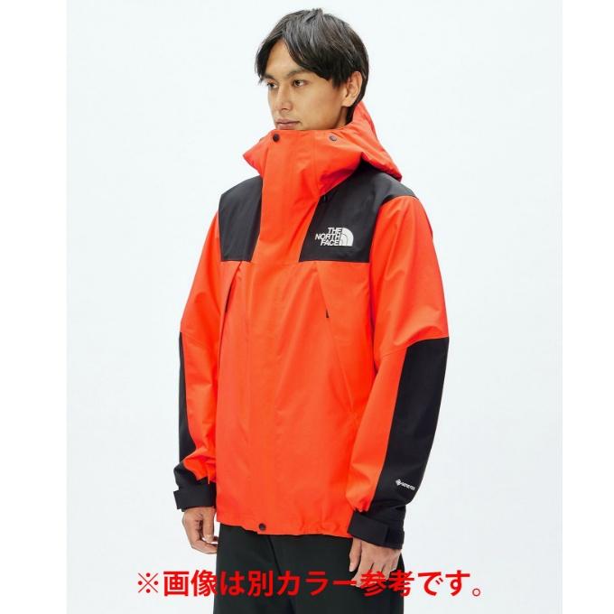 THE NORTH FACE（ザ ノースフェイス） マウンテンパーカー ゴアテック