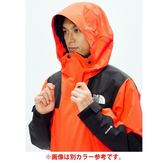 THE NORTH FACE（ザ ノースフェイス） マウンテンパーカー ゴアテック