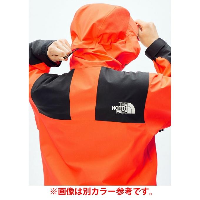 THE NORTH FACE（ザ ノースフェイス） マウンテンパーカー ゴアテック