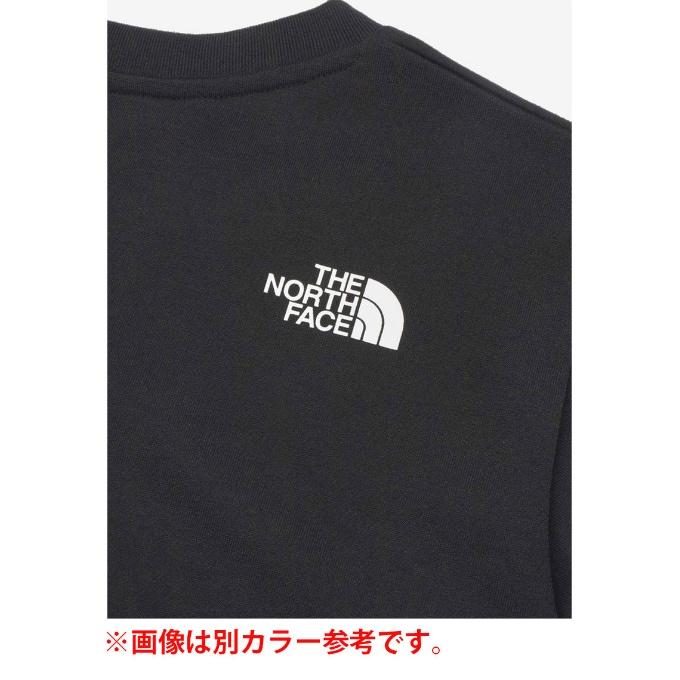 ザ・ノース・フェイス Tシャツ 長袖 レディース L/S Active Man Tee アクティブマンティー NTW32480 W ノースフェイス THE NORTH FACE｜himaraya｜04