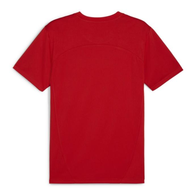 激レア PUMAプーマ 日本代表 プラクティスシャツ 支給 実使用品 楽天市場】プーマ TEAMCUP グラフィックゲームシャツ 大人用 サッカー