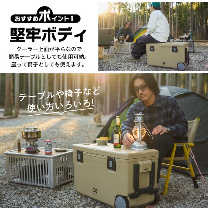 DAIWA（ダイワ） クーラーボックス 43L ランドレーベル PU4300