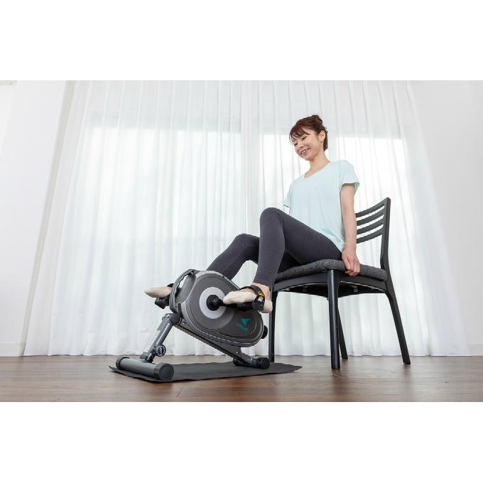AEROLIFE スマートバイク エアロライフ フィットネスバイク 座っ AEROLIFE スマートバイク エアロライフ フィットネスバイク 座っ