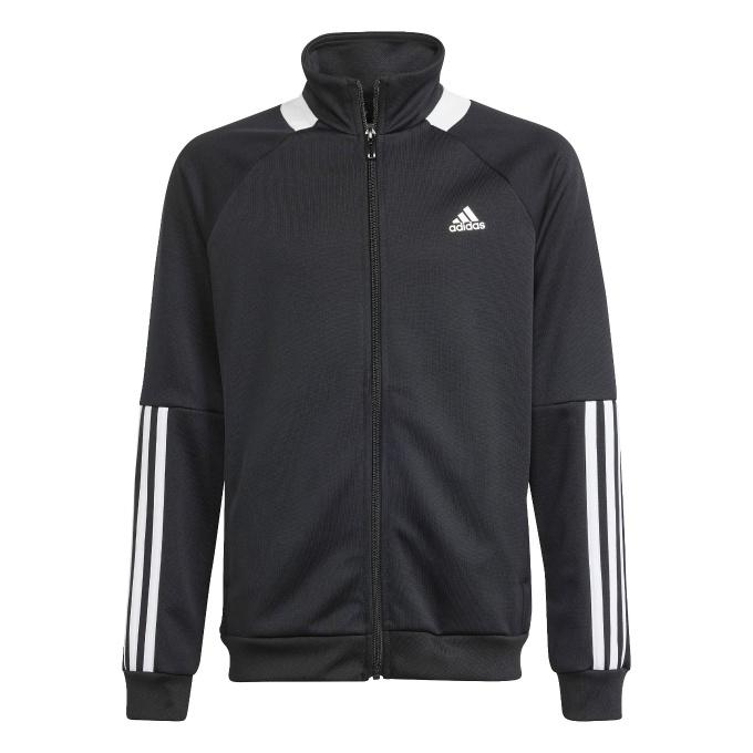 アディダス ジャージ上下セット ジュニア セレーノ トラックスーツ キッズ IN0653 KNX38 adidas｜himaraya｜03