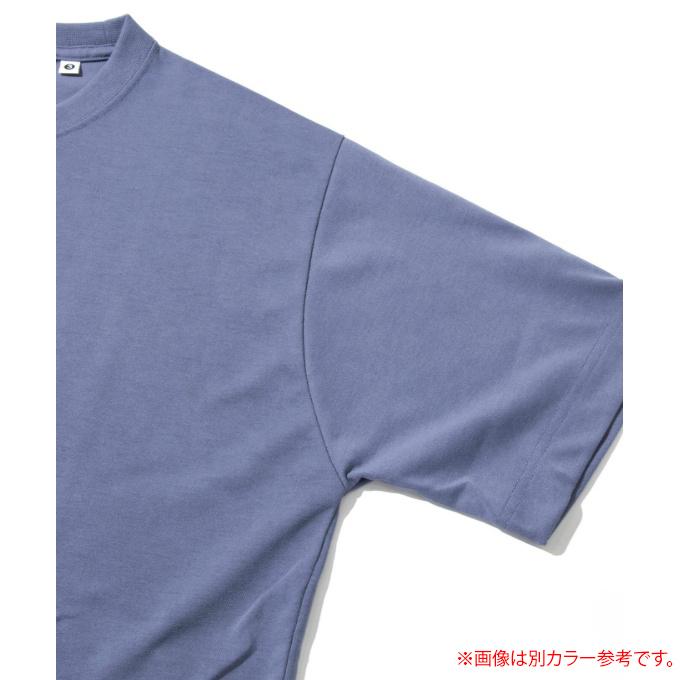 ゴースローキャラバン Go Slow Caravan Tシャツ 半袖 メンズ レディース Drymixカキ氷猫TEE 325601 064｜himaraya｜05