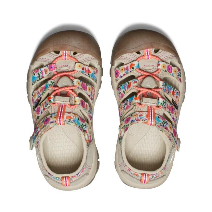 キーン KEEN サンダル ジュニア ビッグキッズ ニューポート エイチツー 1028822 SF/BIの画像