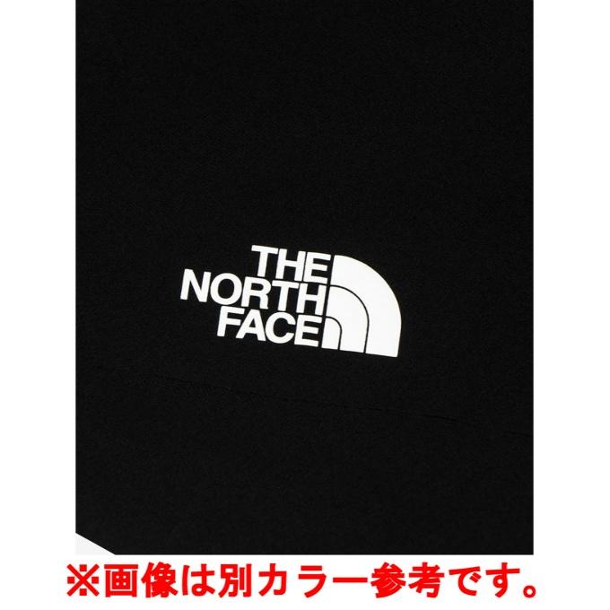 THE NORTH FACE（ザ ノースフェイス） ショートパンツ メンズ エンデュ