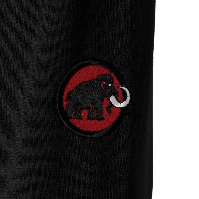 マムート MAMMUT フリース ジャケット メンズ クラシックロゴ 薄手 マイクロフリース 登山 アウトドア キャンプ 1014-06010 0001の画像