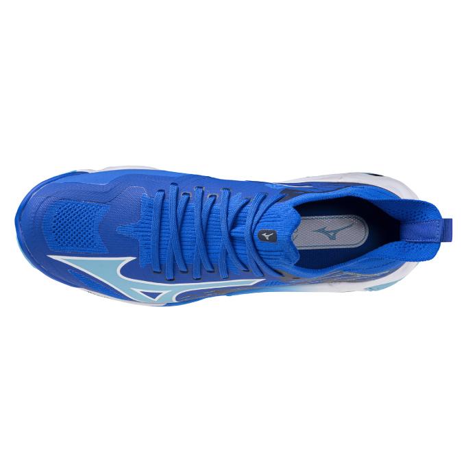 MIZUNO（ミズノ） バレーシューズ メンズ 限定 ウエーブライトニング