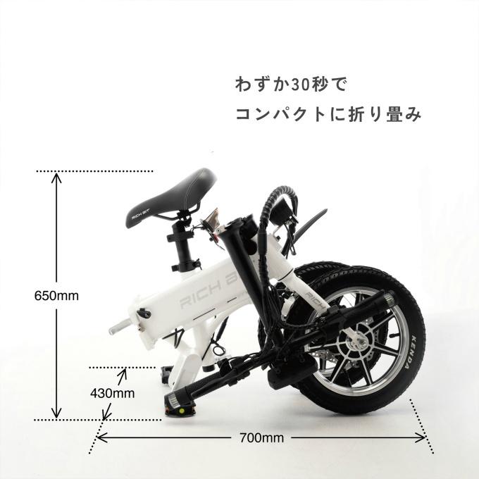 特定小型原動機付自転車】 リッチビット RICHBIT 電動キック 特定小型原動機付自転車】 リッチビット RICHBIT 電動キック