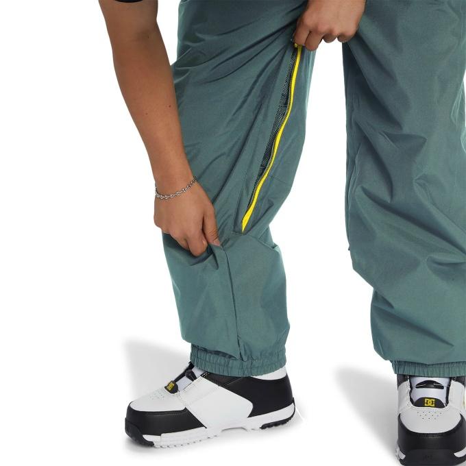 ディーシー DC スノーボードウェア パンツ メンズ レディース Shoes