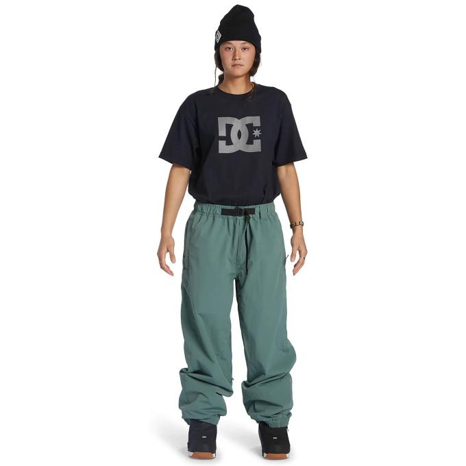 ディーシー DC スノーボードウェア パンツ メンズ レディース Shoes