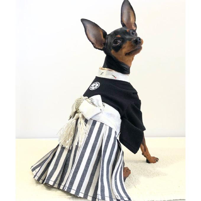 パヌさま専用 Hayabusa ONIGAKE 軽攻めチヌ いぶし茶 4号 ハヤブサ 鬼掛 B811D1 W8