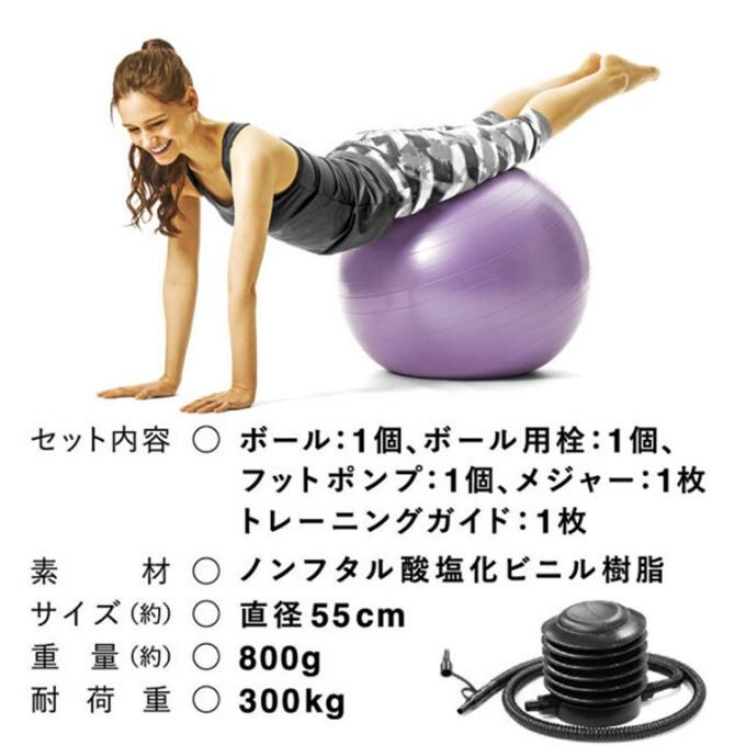 ラ ヴィ La-VIE ジムボール バランスボール55cm パープル 3B-4129