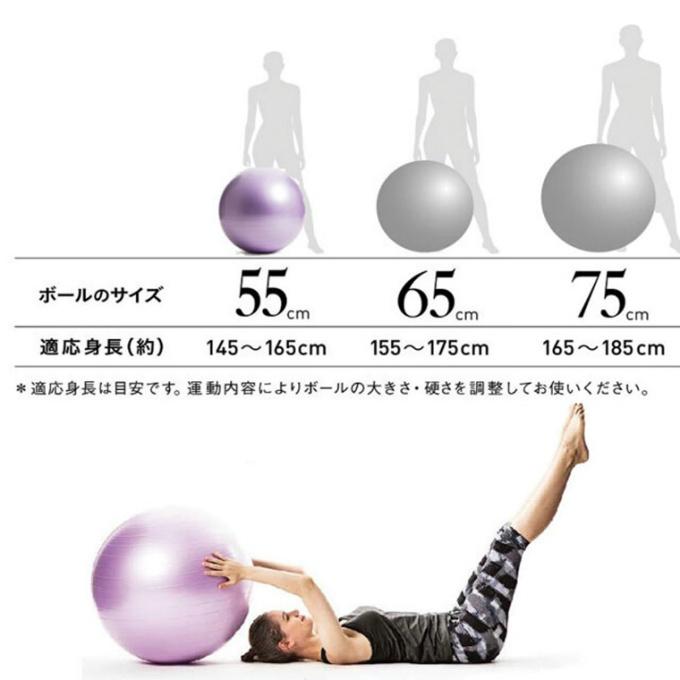 ラ ヴィ La-VIE ジムボール バランスボール55cm パープル 3B-4129