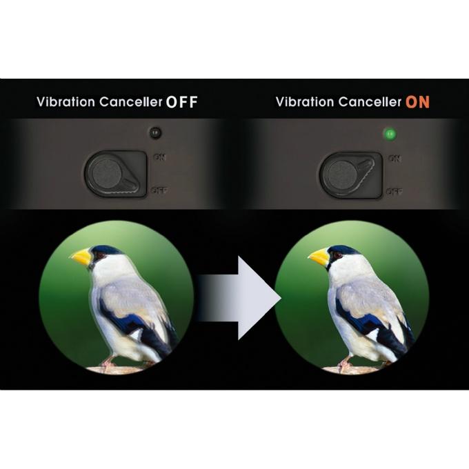 Vixen（ビクセン） 防振 双眼鏡 ATERA 2 EDH16x50WP 11516 【ご自宅