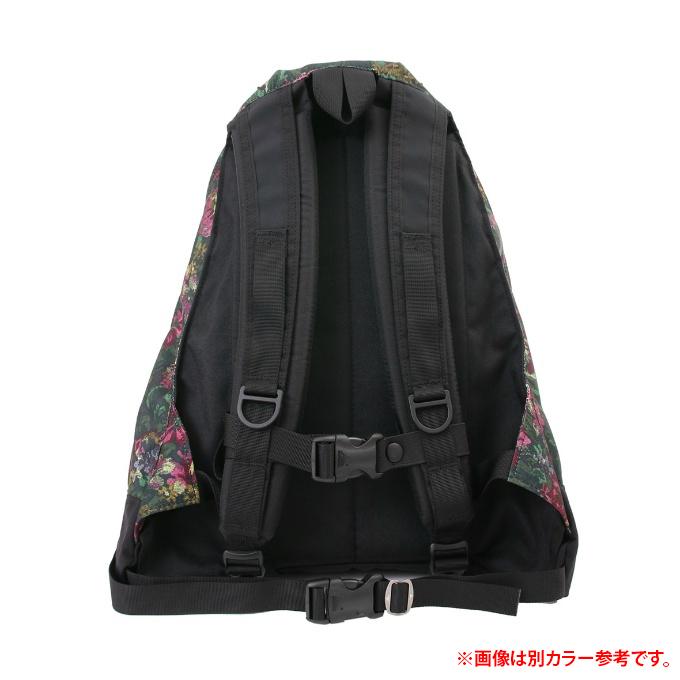 グレゴリー GREGORY バックパック メンズ レディース ジュニア デイパック 65169A502の画像