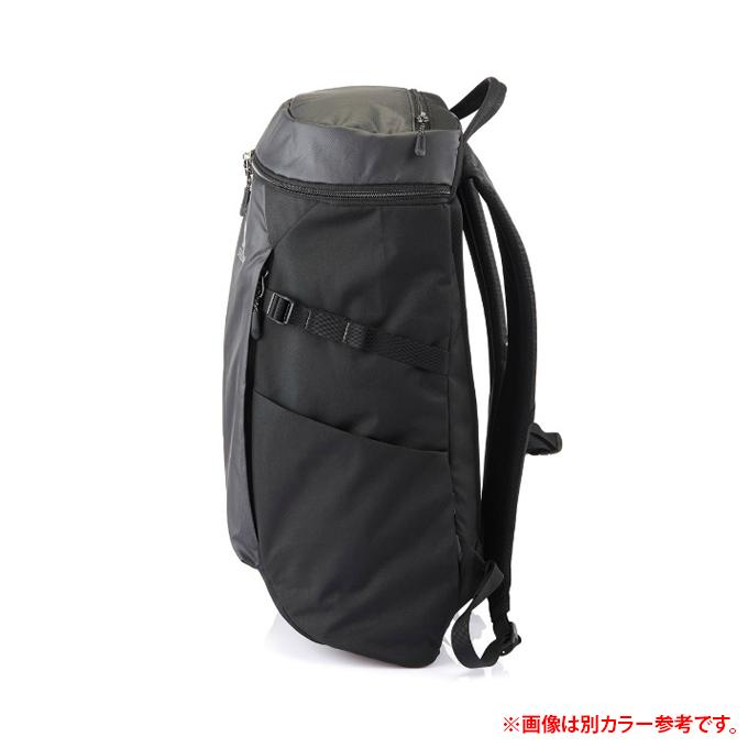 GREGORY グレゴリー バックパック メンズ レディース ジュニア