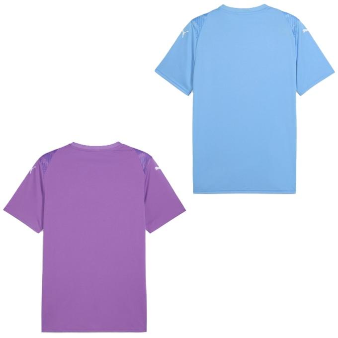 PUMA（プーマ） サッカーウェア プラクティスシャツ 半袖 メンズ TEAM