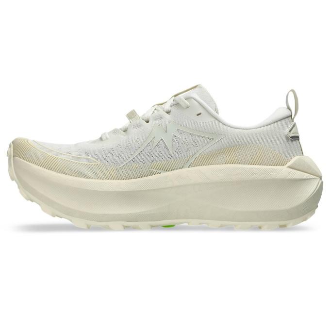 ASICS（アシックス） トレイルランニングシューズ メンズ トラブーコ