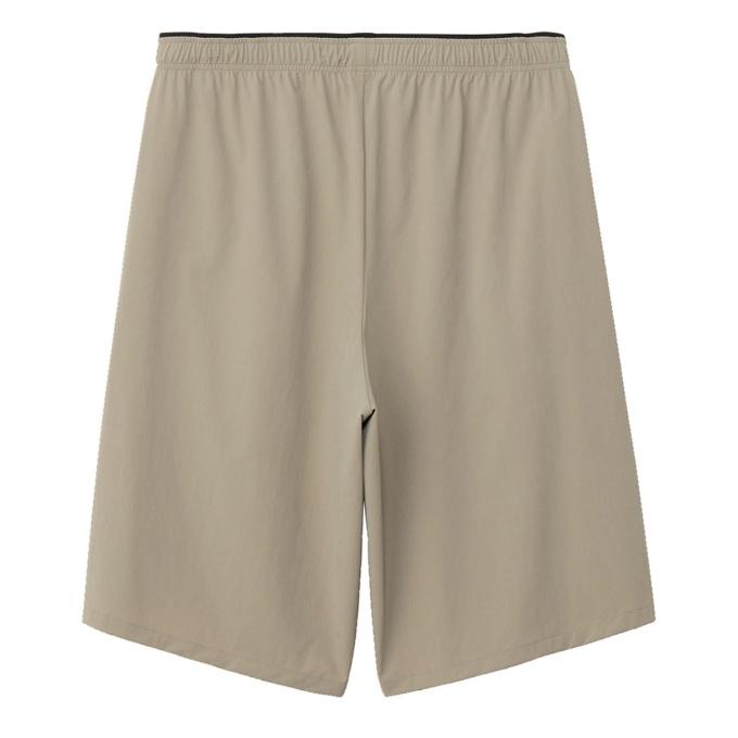 THE NORTH FACE（ザ ノースフェイス） ショートパンツ メンズ FLEXIBLE