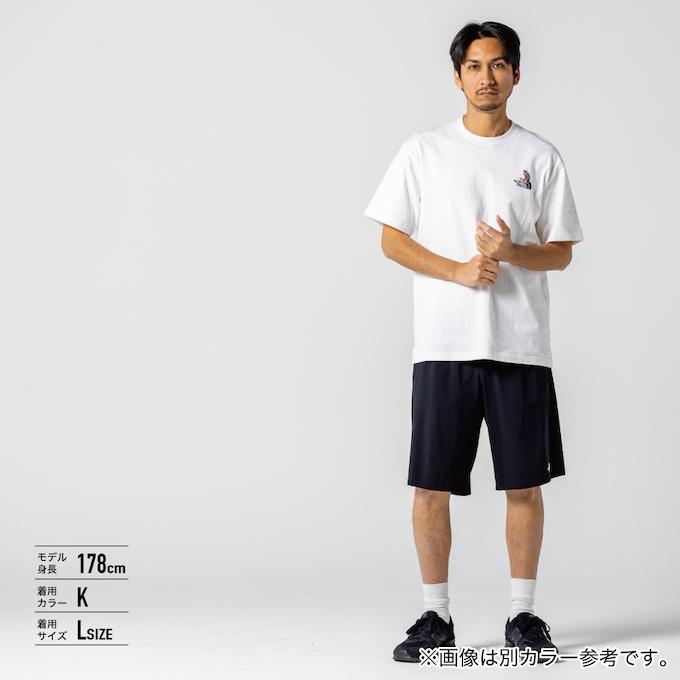 THE NORTH FACE（ザ ノースフェイス） ショートパンツ メンズ FLEXIBLE