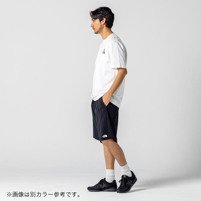 THE NORTH FACE（ザ ノースフェイス） ショートパンツ メンズ FLEXIBLE