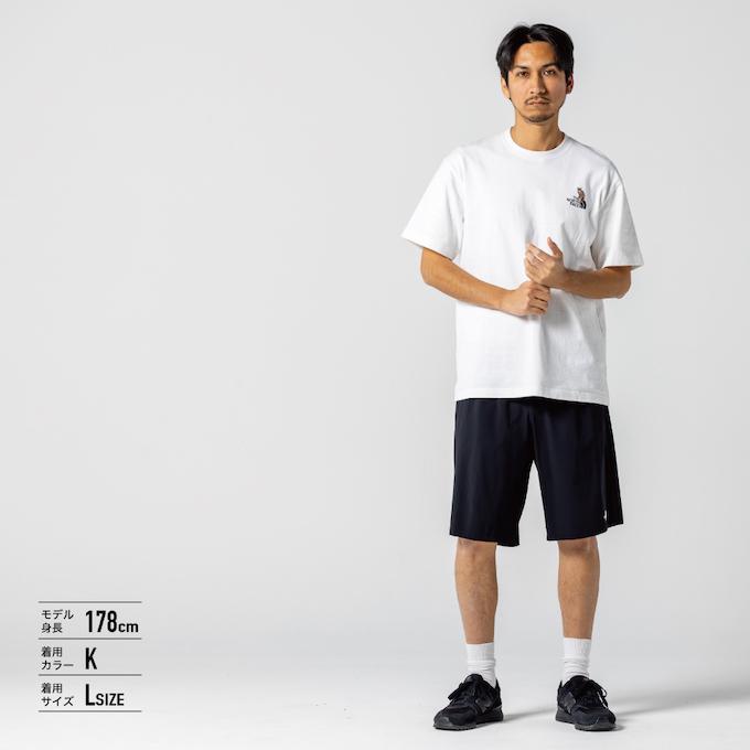 THE NORTH FACE（ザ ノースフェイス） ショートパンツ メンズ FLEXIBLE
