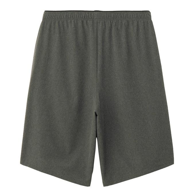 THE NORTH FACE（ザ ノースフェイス） ショートパンツ メンズ FLEXIBLE