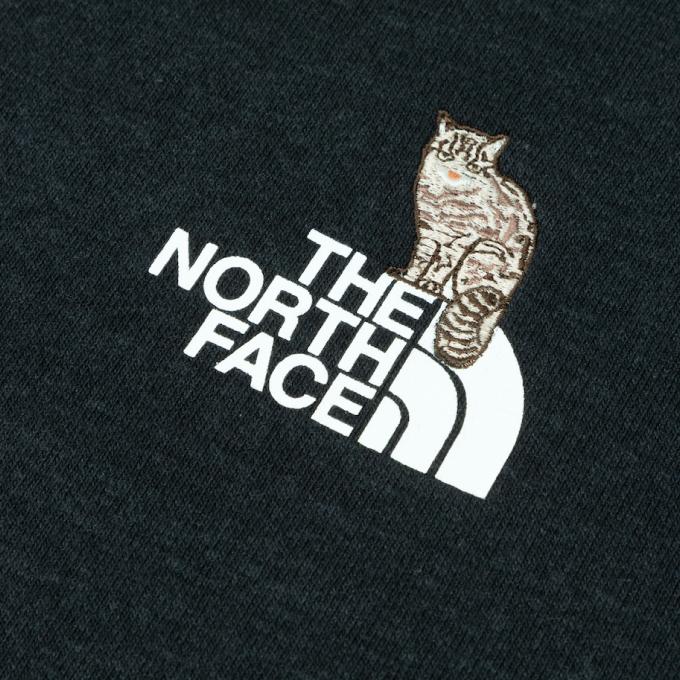 THE NORTH FACE（ザ ノースフェイス） スウェット トレーナー メンズ