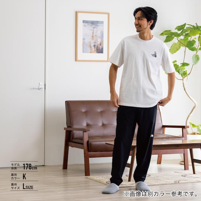 THE NORTH FACE（ザ ノースフェイス） Tシャツ 半袖 メンズ レディース