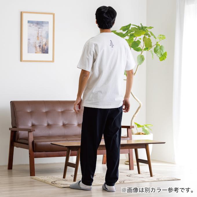 THE NORTH FACE（ザ ノースフェイス） Tシャツ 半袖 メンズ レディース