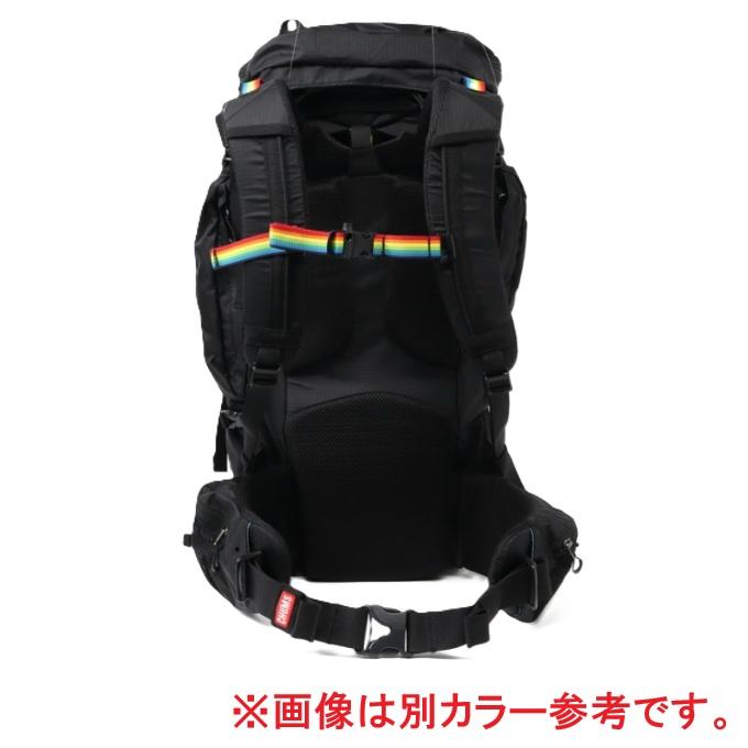 CHUMS（チャムス） バックパック メンズ レディース スプリングデール
