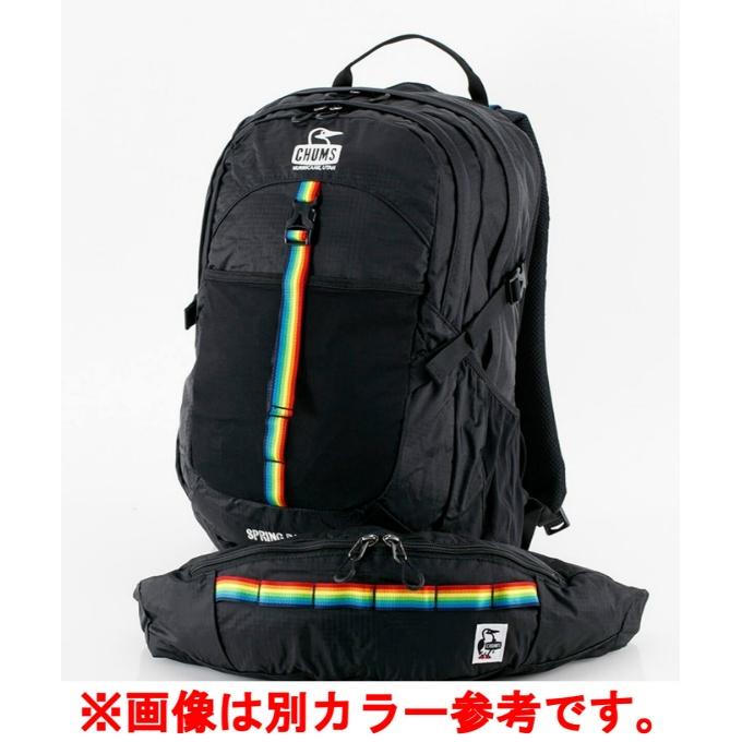 CHUMS（チャムス） バックパック メンズ レディース スプリングデール