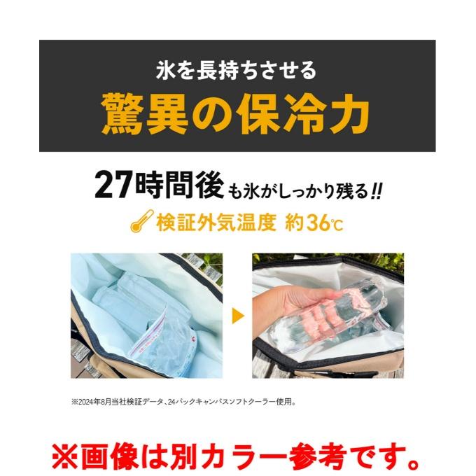 エーオークーラー AO Coolers ソフトクーラー AOクーラーキャンバス 8.5L AO9MY_3