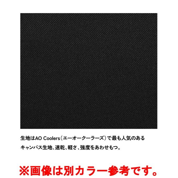 エーオークーラー AO Coolers ソフトクーラー AOクーラーキャンバス 8.5L AO9MY_7