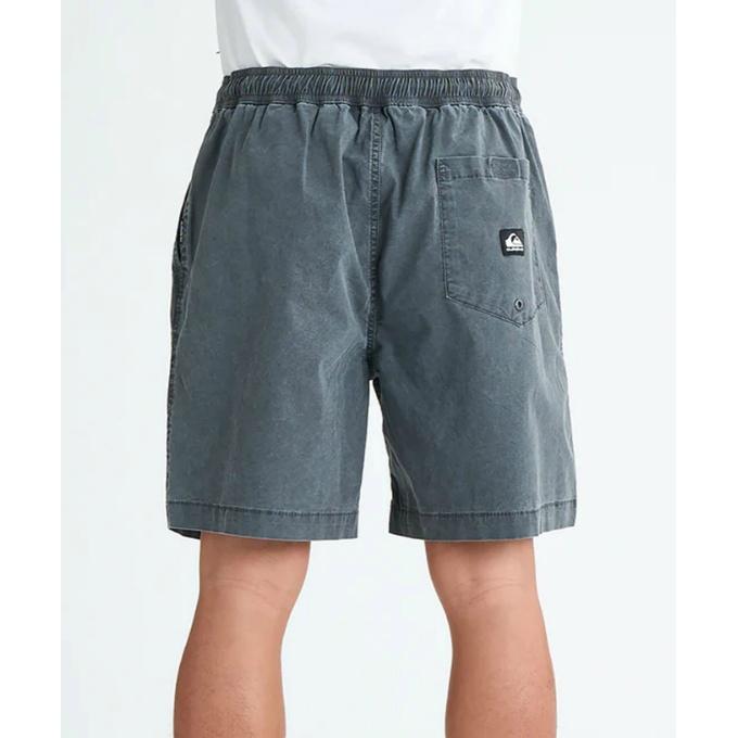 【希少！】SeriousPlayer Only ハーフパンツ ショーツ サソリ Quiksilver（クイックシルバー） ショートパンツ メンズ TAXER WS