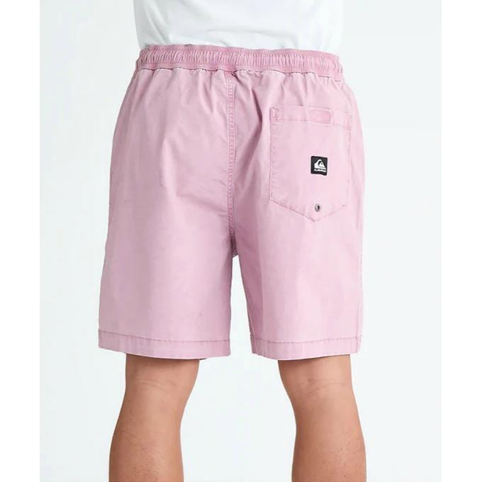 【希少！】SeriousPlayer Only ハーフパンツ ショーツ サソリ Quiksilver（クイックシルバー） ショートパンツ メンズ TAXER WS