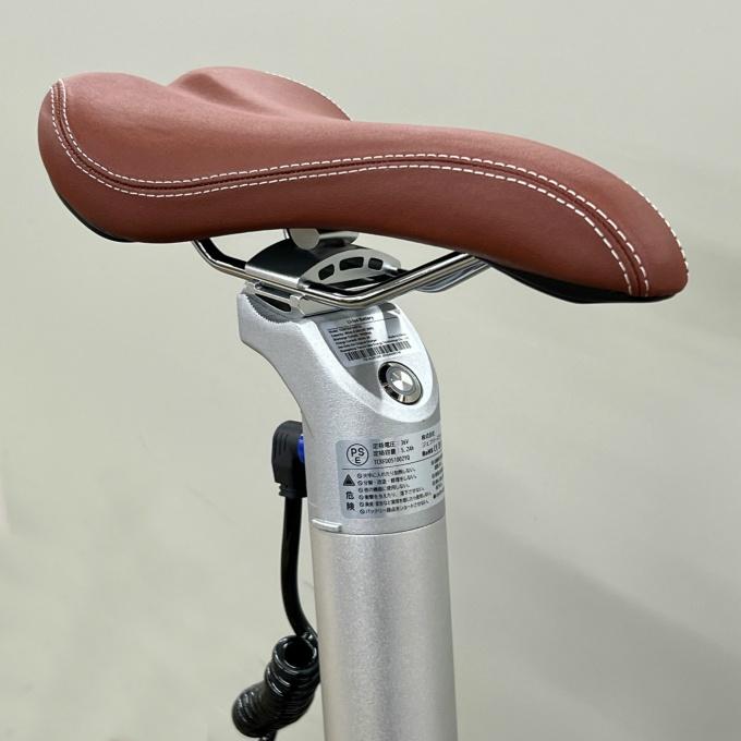 CAPTAIN STAG（キャプテンスタッグ） 電動自転車 eリライト電動AL