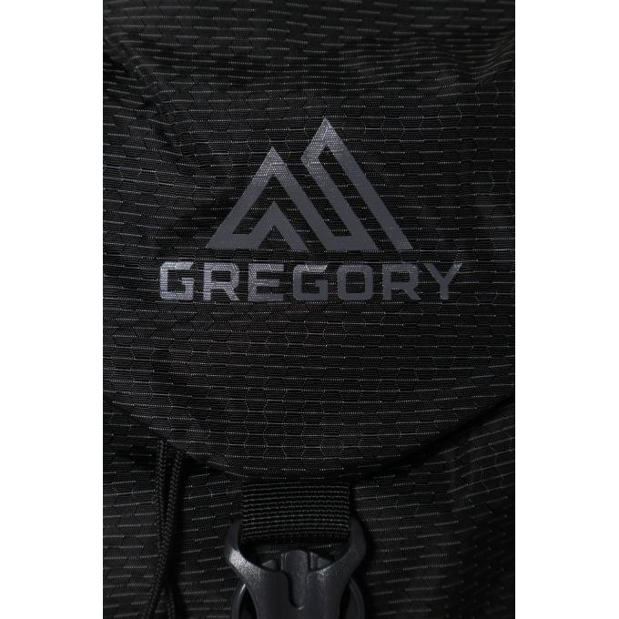 グレゴリー(GREGORY) バックパック メンズ レディース ナノ28 1530349974_11